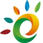 国际能源网